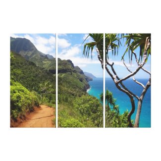 Canvas Art-Kauai Coast