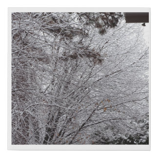 Canvas Art - Last Winter