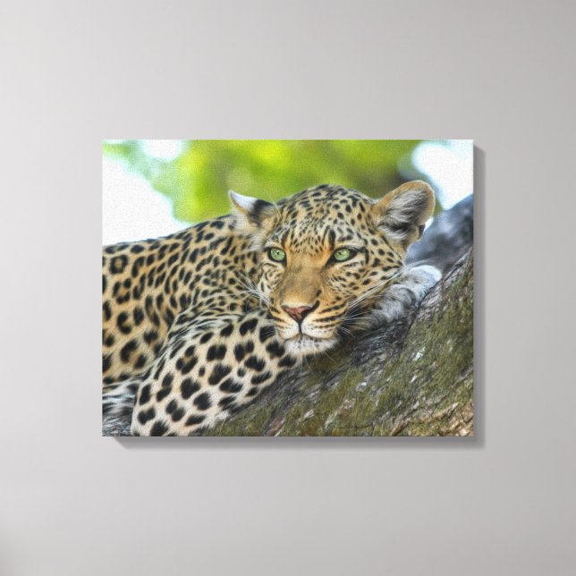 Canvas Art-Leopard Print (Front)