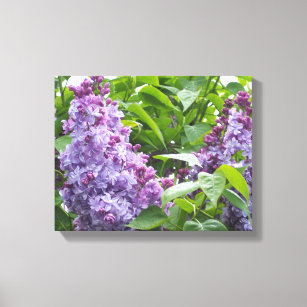 Canvas Art Lilacs