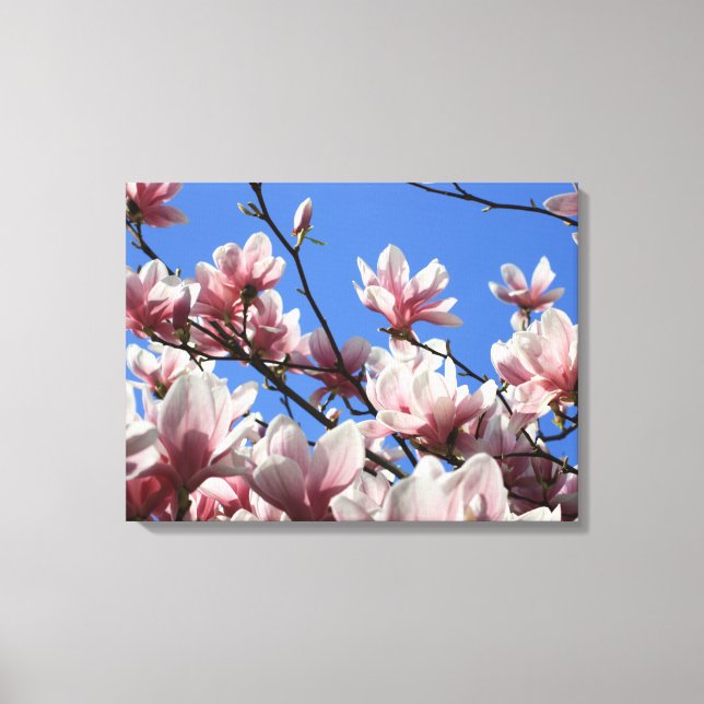 Canvas Art-Pink Magnolia (Front)