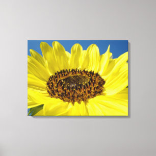 Canvas art prints Yellow Sunflower Blue Sky