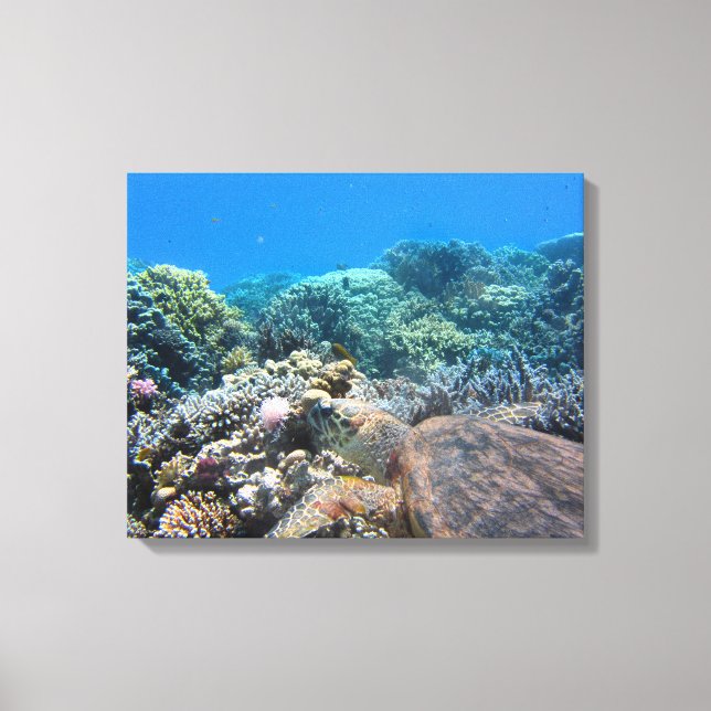 Canvas Art-Sea Turtle (Front)