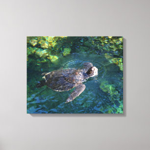 Canvas Art-Sea Turtle Print