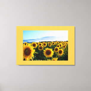 Canvas Art-Sunflowers Print