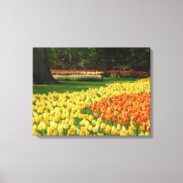Canvas Art-Tulips (Front)