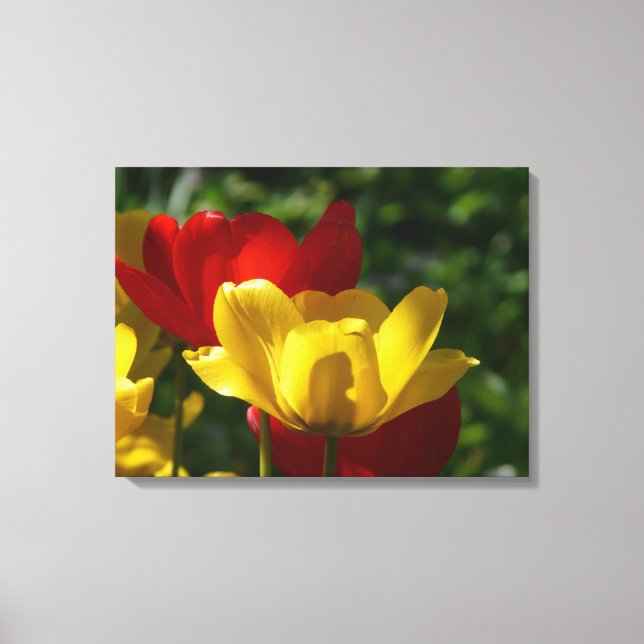 Canvas Art-Tulips (Front)