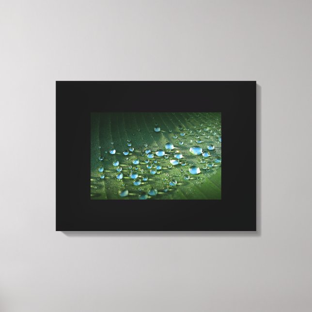 Canvas Art-Water Droplets (Front)