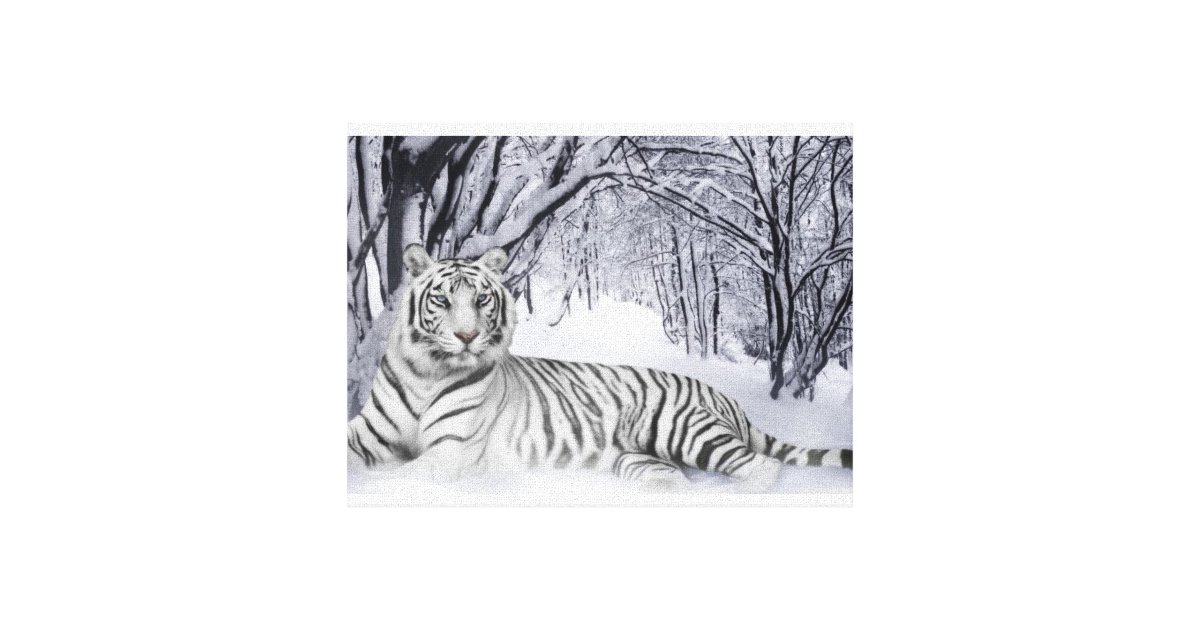 Canvas Art White Tiger | Zazzle