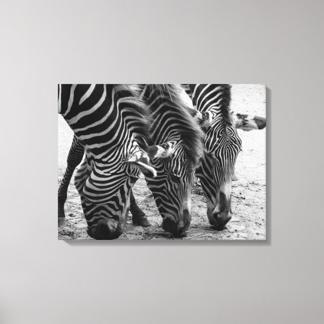 Canvas Art-Zebras (Front)