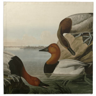 Canvas backed Duck from Audubon's Birds of America Cloth Napkin