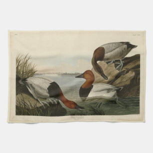 Canvas backed Duck from Audubon's Birds of America Kitchen Towel