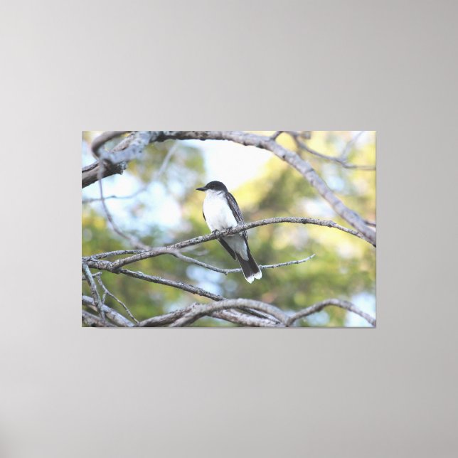 Canvas Bird Art Print (Front)