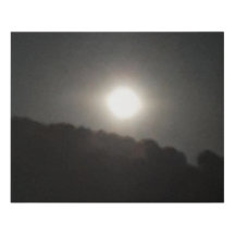 CANVAS COOL ECO STYLE DESIGN