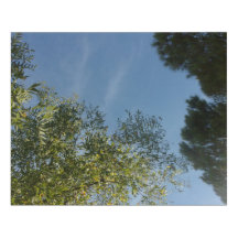 CANVAS COOL ECO STYLE DESIGN