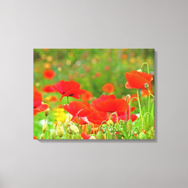 Canvas Fine Art Prints Floral Red Poppies Flowers (Front)