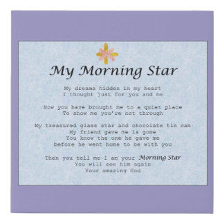 canvas "My Morning Star "