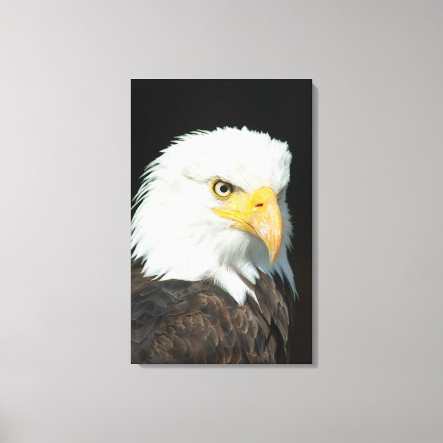 Canvas - Nature Bird Eagle Print (Front)