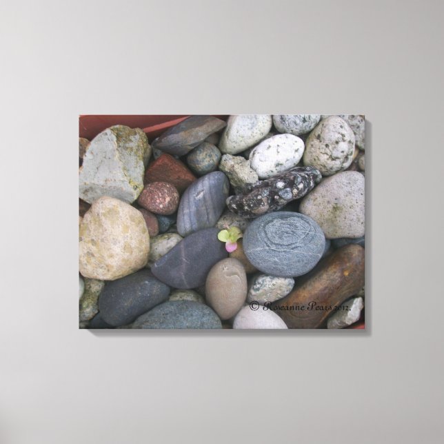 Canvas (Pebbles #1) RFPMDesigns ©️2012 Print (Front)