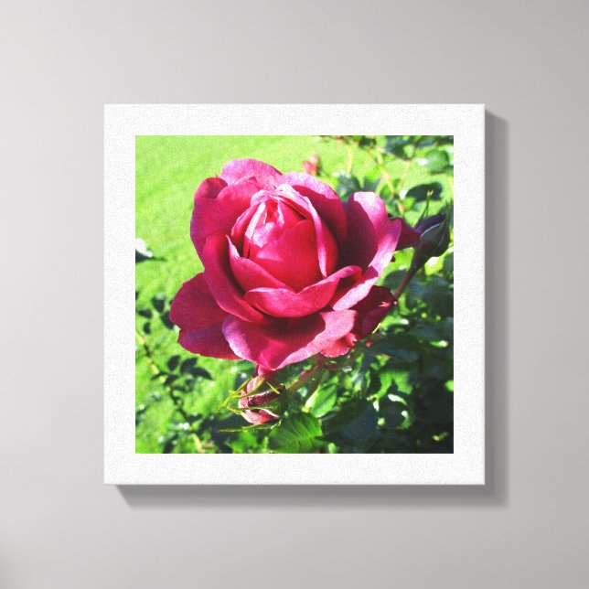 Canvas Print (Front)