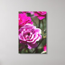 Canvas Print Beautiful Roses Photography