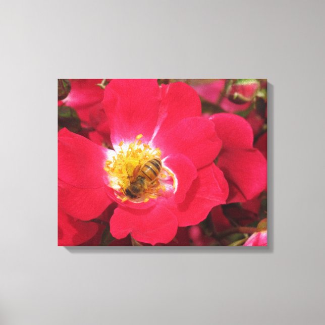 Canvas Print - Collecting Pollen (Front)