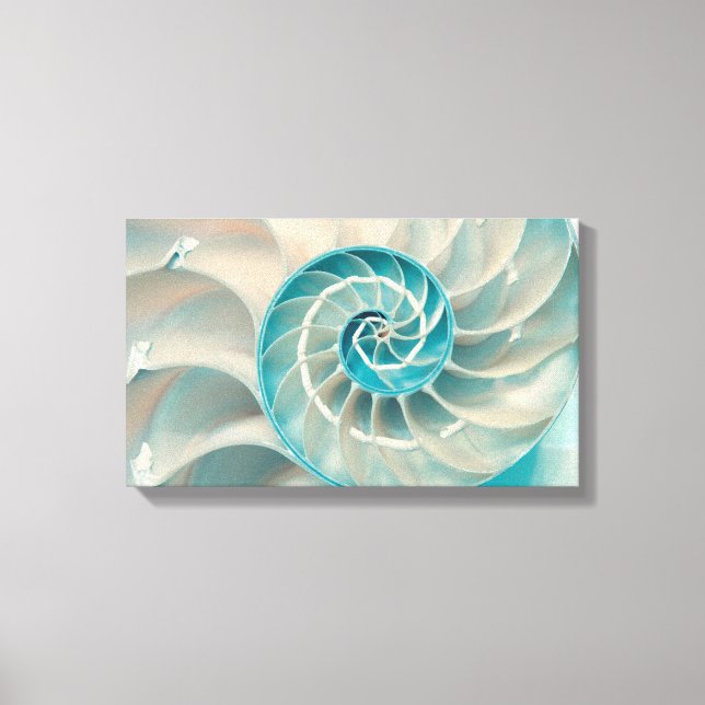 Canvas Print-Fibonacci Sequence in Nature Sea Life Print (Front)