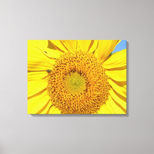 Canvas Print _ Fly on Sunflower