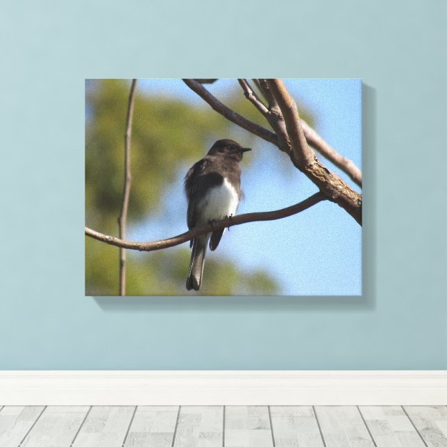 Canvas print - Flycatcher in tree (Insitu(Wood Floor))