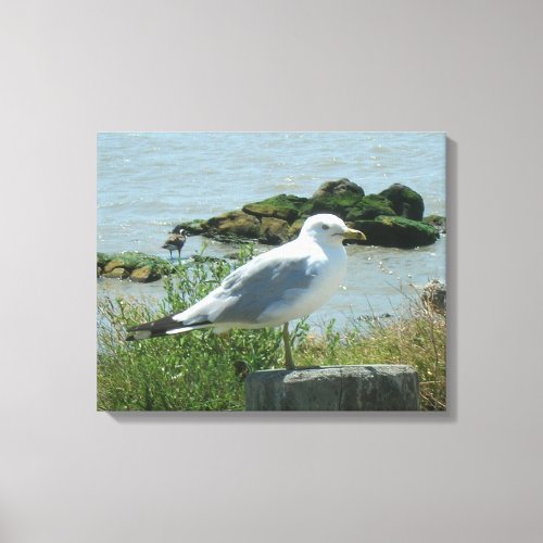 Canvas Print _ Gull on Piling