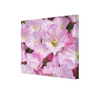 Canvas Print - Pink Flowers