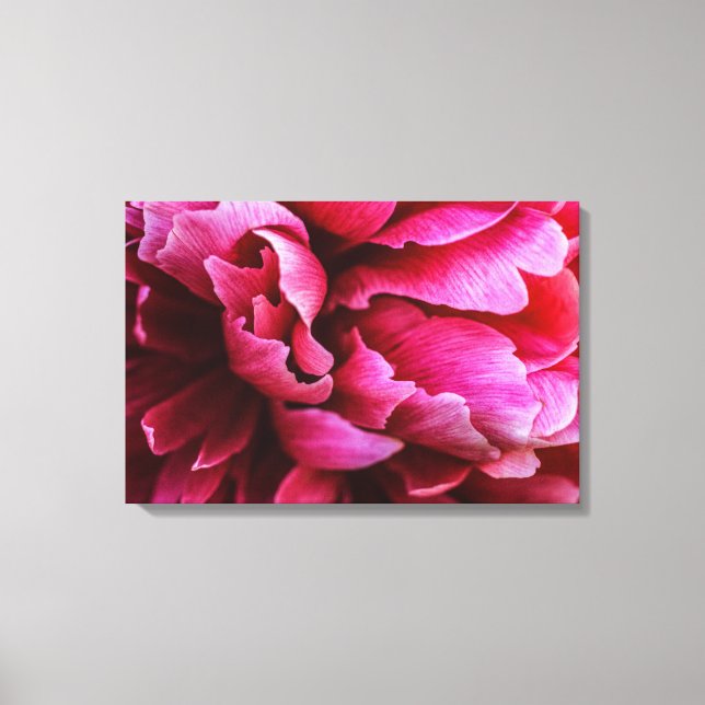 Canvas Print Pink Peony Petals (Front)