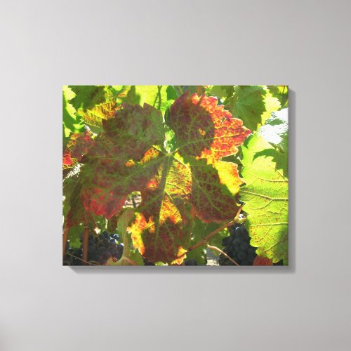 Canvas Print _ Red Grape Leaf on Vine