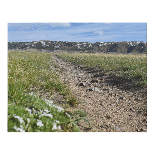 Canvas Print "Spring Phlox" - Casper WY (Front)