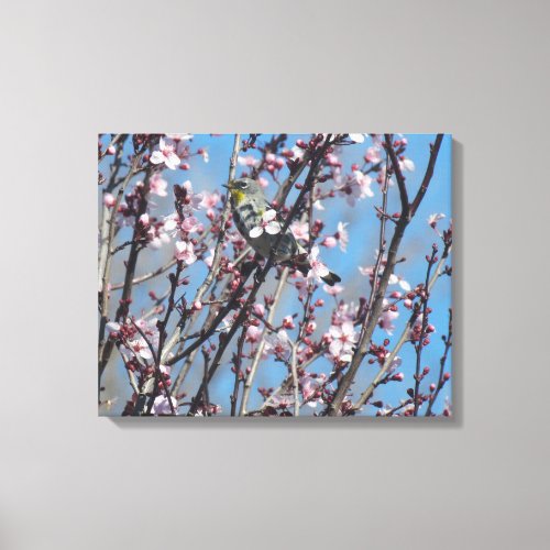 Canvas Print _ Springtime Sparrow