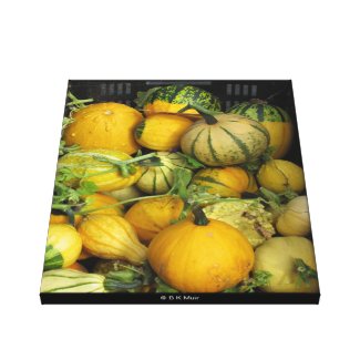 Canvas print - Summer squash