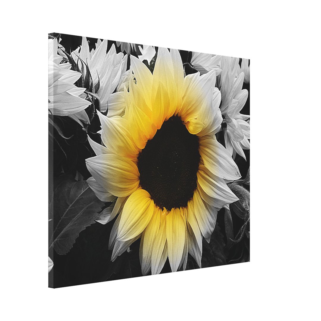 Canvas Print - Sunflower | Zazzle