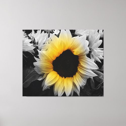 Canvas Print _ Sunflower