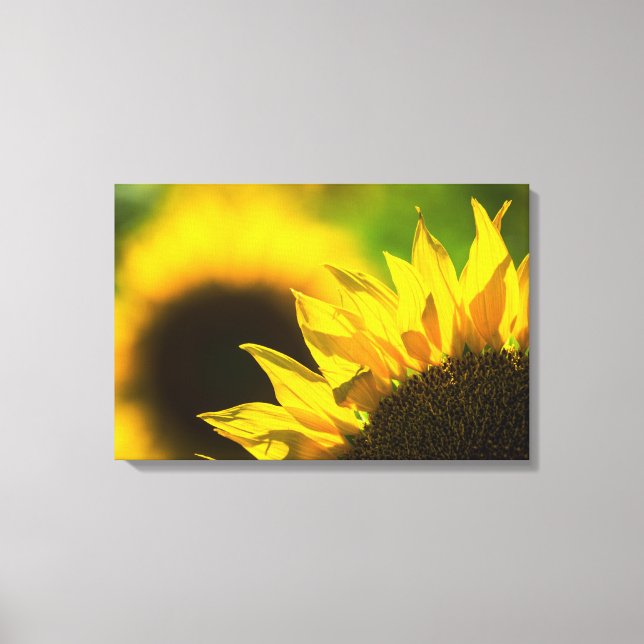 Canvas Print Sunflower Elegance (Front)