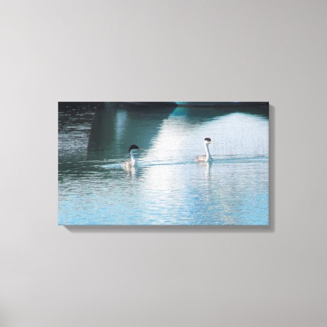 Canvas Print - Western Grebe in Harbor (Front)