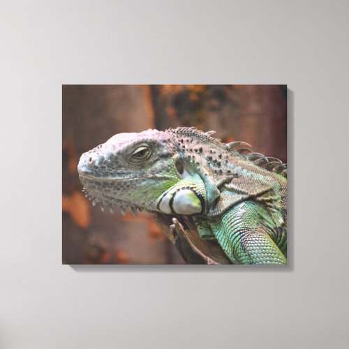 Canvas Print with colourful Iguana lizard