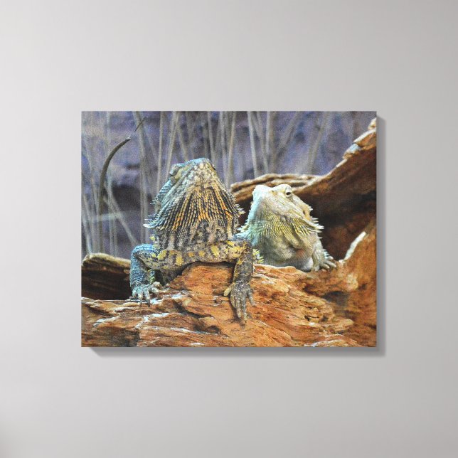 Canvas Print with curious lizards (Front)