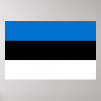 Canvas Print with Flag of Estonia