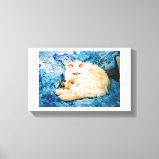 Canvas Print with Persian Cat