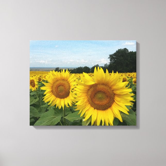 Canvas Print with Sunflower (Front)