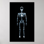 Canvas Print X-ray Vision Blue Single Skeleton at Zazzle