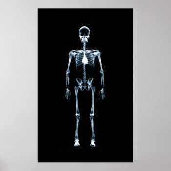 Canvas Print X-ray Vision Blue Single Skeleton by VoXeeD at Zazzle