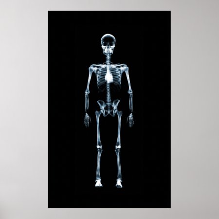 Canvas Print X-ray Vision Blue Single Skeleton