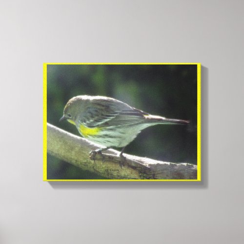 Canvas print _ Yellow Breasted Bird on Branch