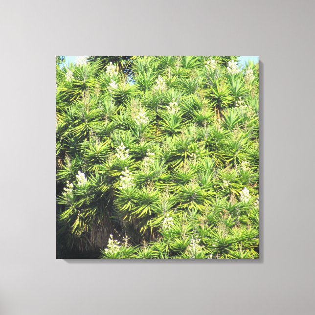 Canvas Print - Yucca Plants (2 panel) (Front)